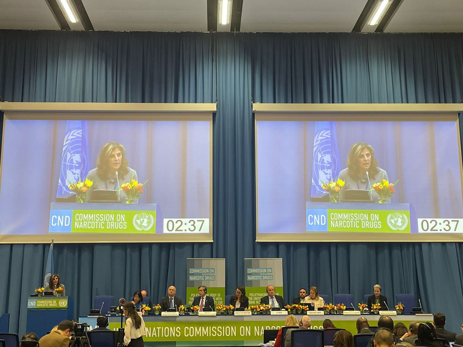 Viceministra de Asuntos Multilaterales, Laura Gil. Foto: Cancillería