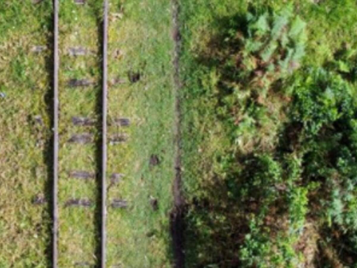 El corredor férreo Facatativá – La Mesa ahora pasará a ser un corredor turístico