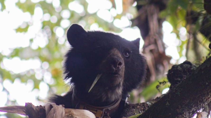 Pensilvania fue encontrada muerta, en la vereda Santa Bárbara del municipio de Cómbita. Foto: Corpoboyacá.