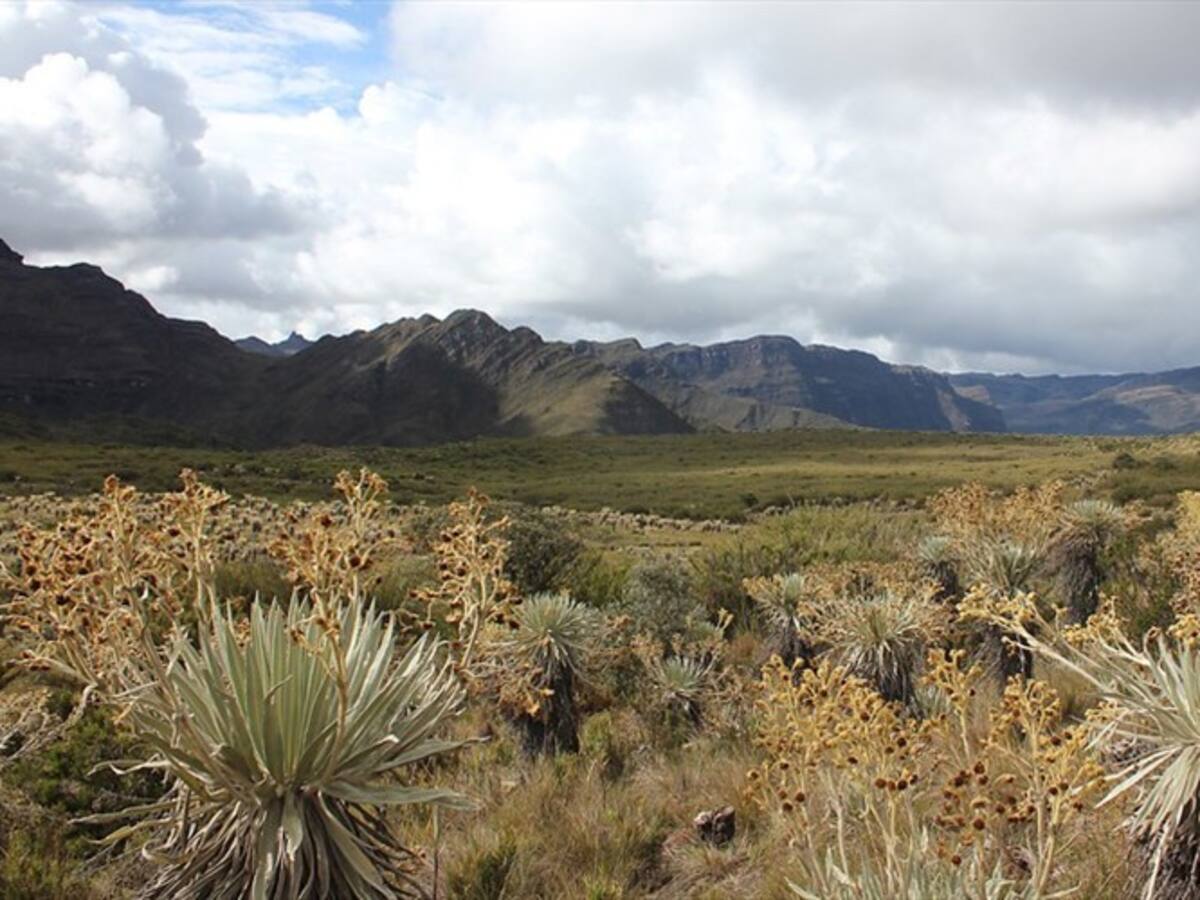 Se mantienen las actividades agropecuarias de bajo impacto en los páramos