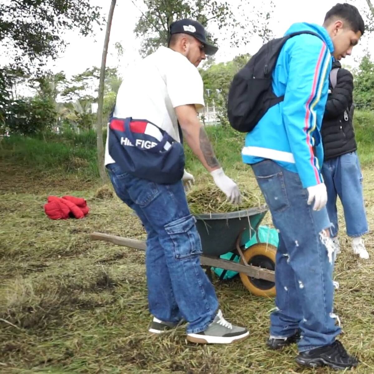 Más de 7.000 infractores han saldado su comparendo con trabajo comunitario en Bogotá
