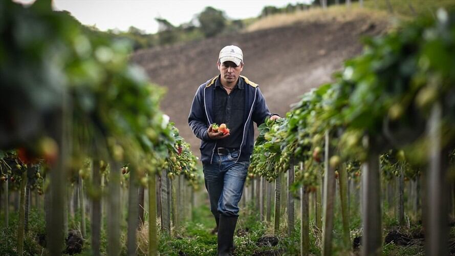 Imagen de referencia. Foto: Getty Images