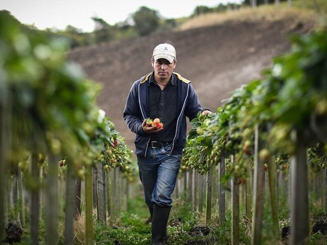 Imagen de referencia. Foto: Getty Images