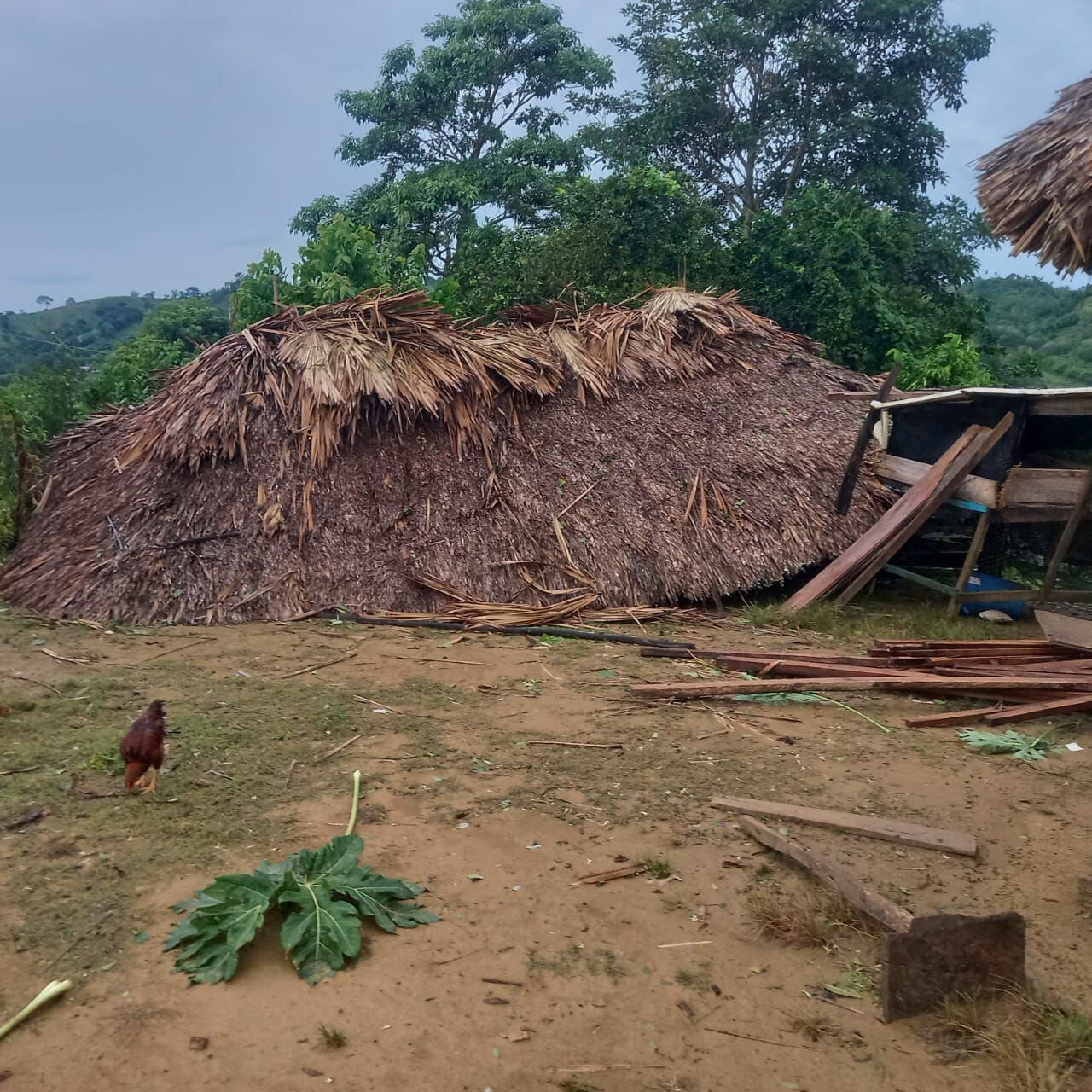 Emergencia en Córdoba por fuerte vendaval. Foto: cortesía comunidad de Puerto Escondido. 