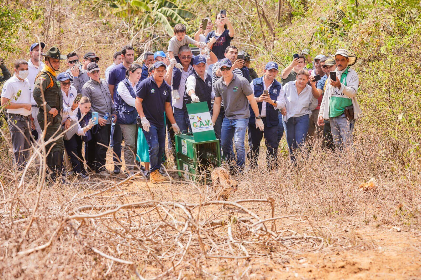 Fueron liberadas en Córdoba varias especies animales amenazadas. Foto: Defensoría del Pueblo.