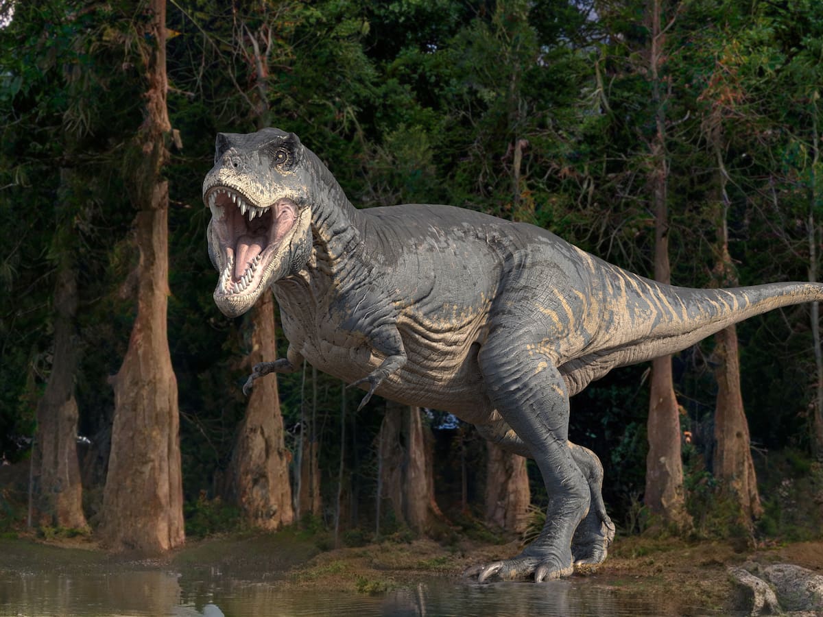En estos países vivió el Tiranosaurio Rex: ¿habitó Colombia?