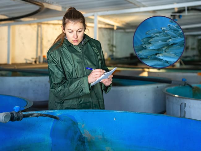 Mujer estudiando acuicultura / Foto: GettyImages