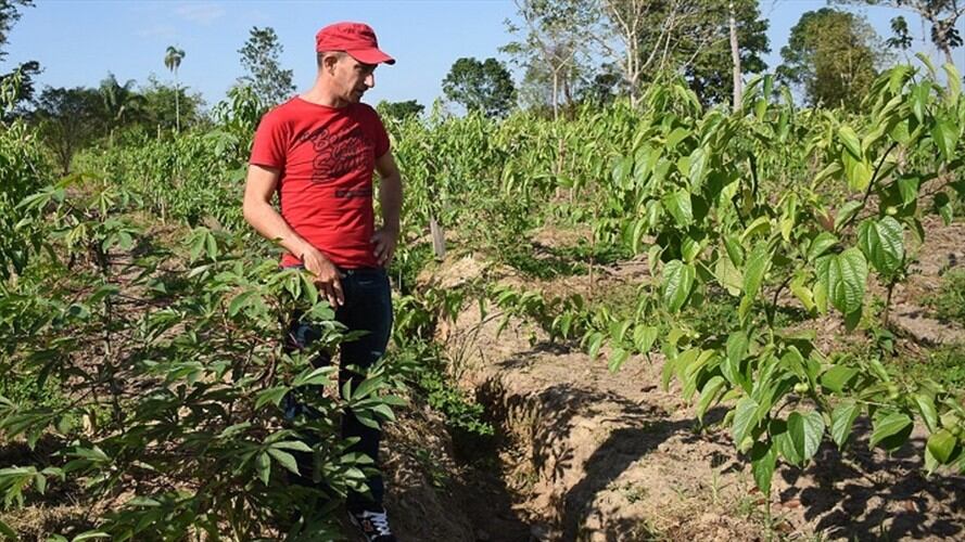 Aprueban siete proyectos productivos a excombatientes de las Farc. Foto: Agencia Anadolu