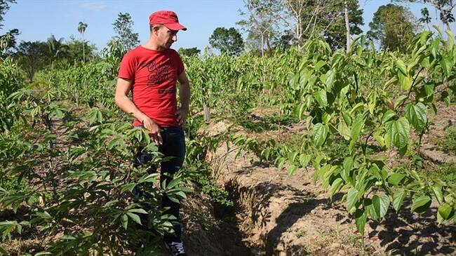 Aprueban siete proyectos productivos a excombatientes de las Farc. Foto: Agencia Anadolu
