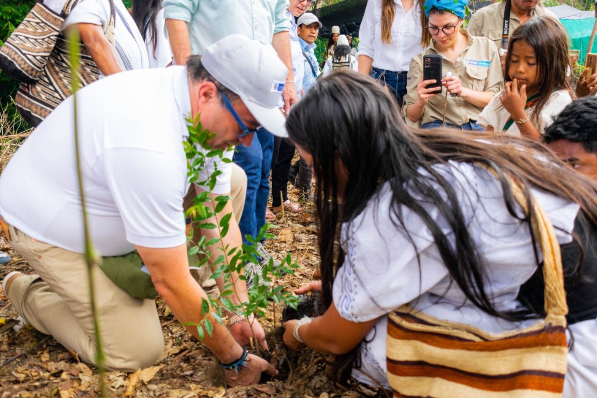 Este es uno de los proyectos insignia de la meta de 180 Millones de Árboles/ Alcaldía de Aracataca.