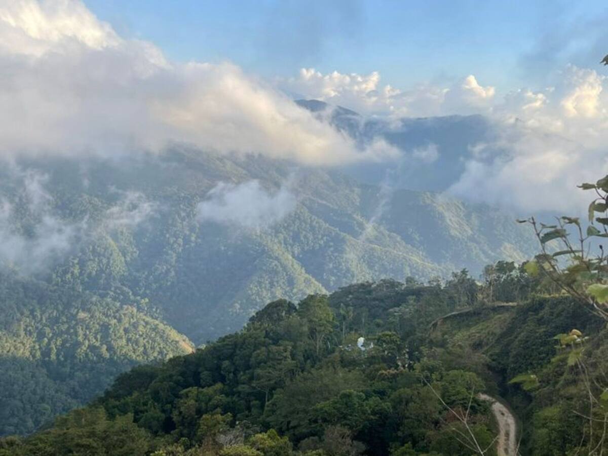Defensoría del Pueblo pide atención a familias desplazadas de la Sierra Nevada