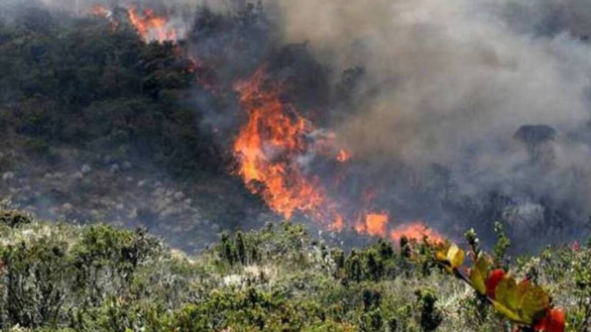 En Risaralda se han registrado 11 incendios de cobertura vegetal entre enero y marzo