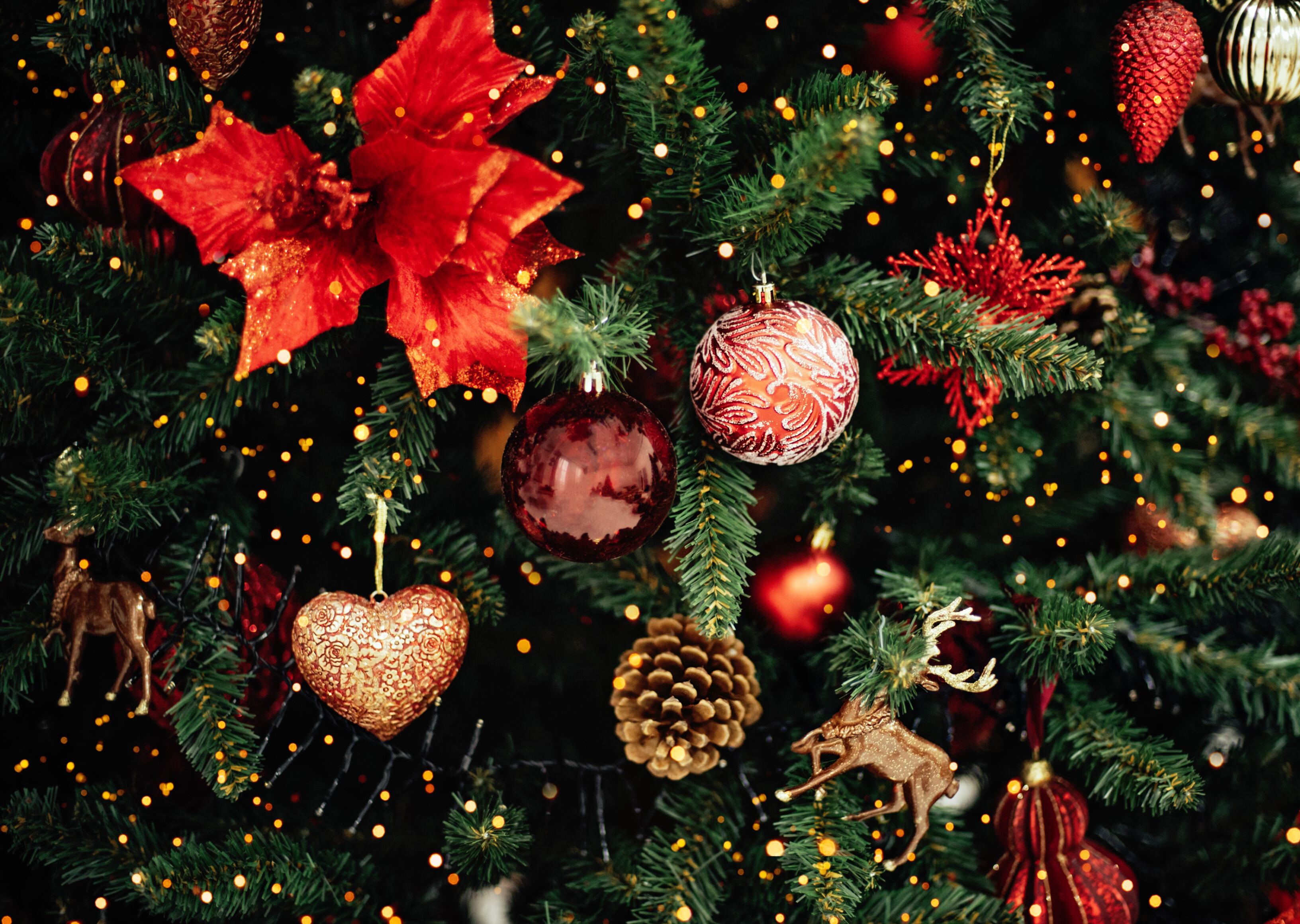 Árbol de Navidad | Foto: GettyImages