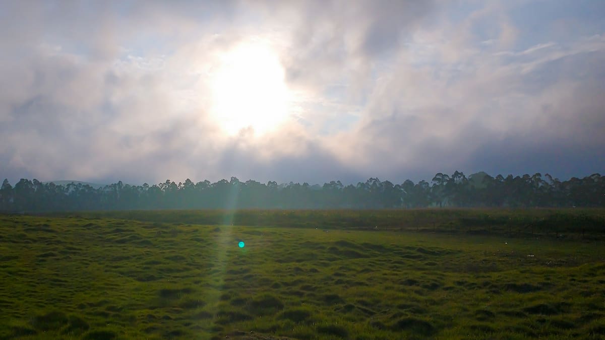 Consejo de Estado se pronuncia frente a polémica resolución de MinAmbiente para la Sabana de Bogotá