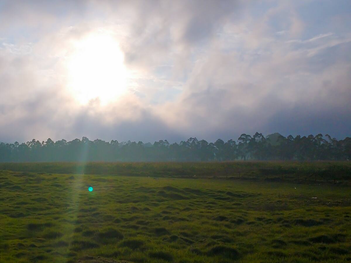 Debate: ¿cuáles son las afectaciones de la resolución del MinAmbiente sobre la Sabana de Bogotá?