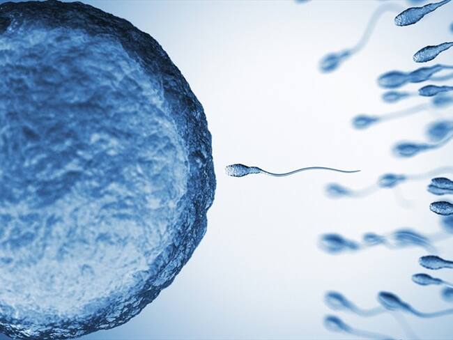 ¿Puede la COVID-19 alterar la calidad del esperma?. Foto: Getty Images