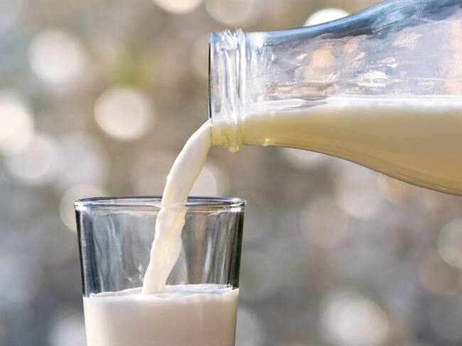 El top de empresas que más han importado lácteos entre enero y mayo de 2020