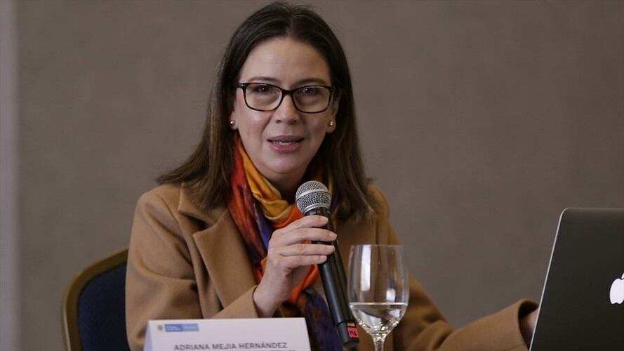 Viceministra de Relaciones Exteriores, Adriana Mejía. Foto: Colprensa