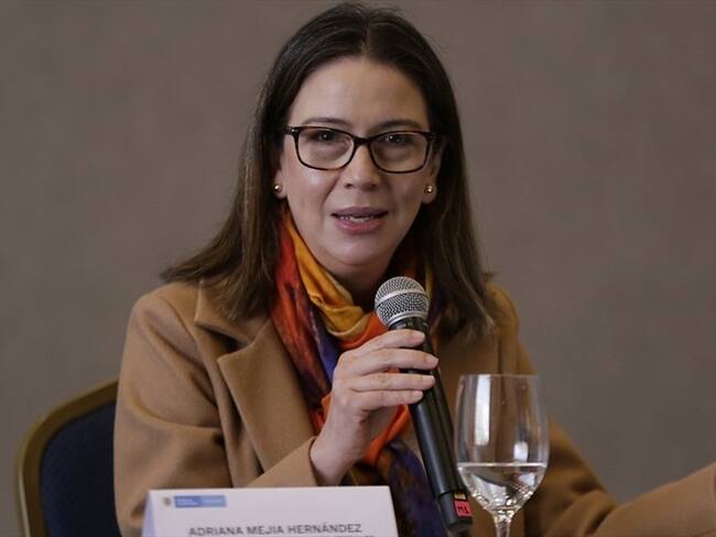 Viceministra de Relaciones Exteriores, Adriana Mejía. Foto: Colprensa