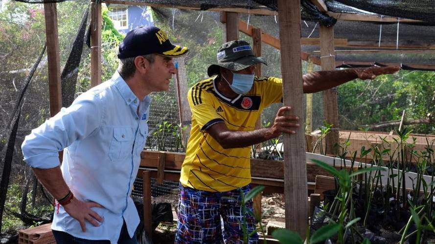 Restauración ecológica en San Andrés luego del paso del huracán lota. Créditos: Colprensa
