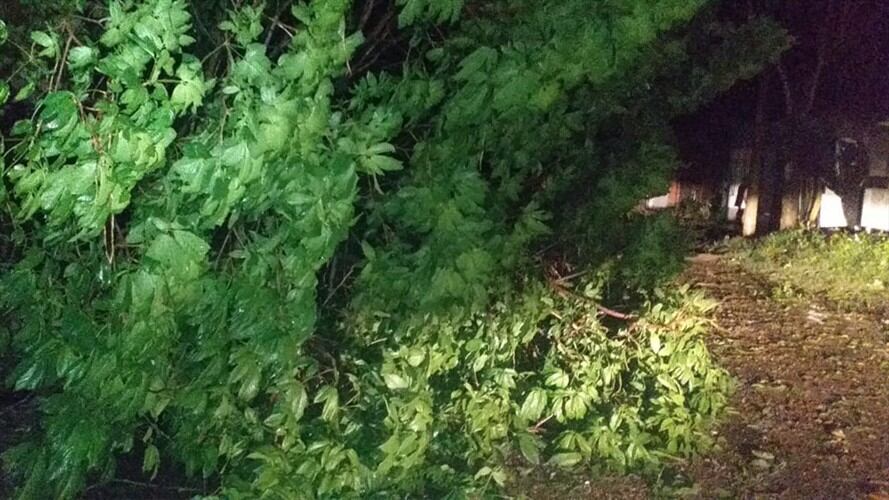 "Gracias a Dios no se presentaron pérdidas de vidas humanas ni heridos", dijo el mandatario. . Foto: Bomberos Puerto Boyacá