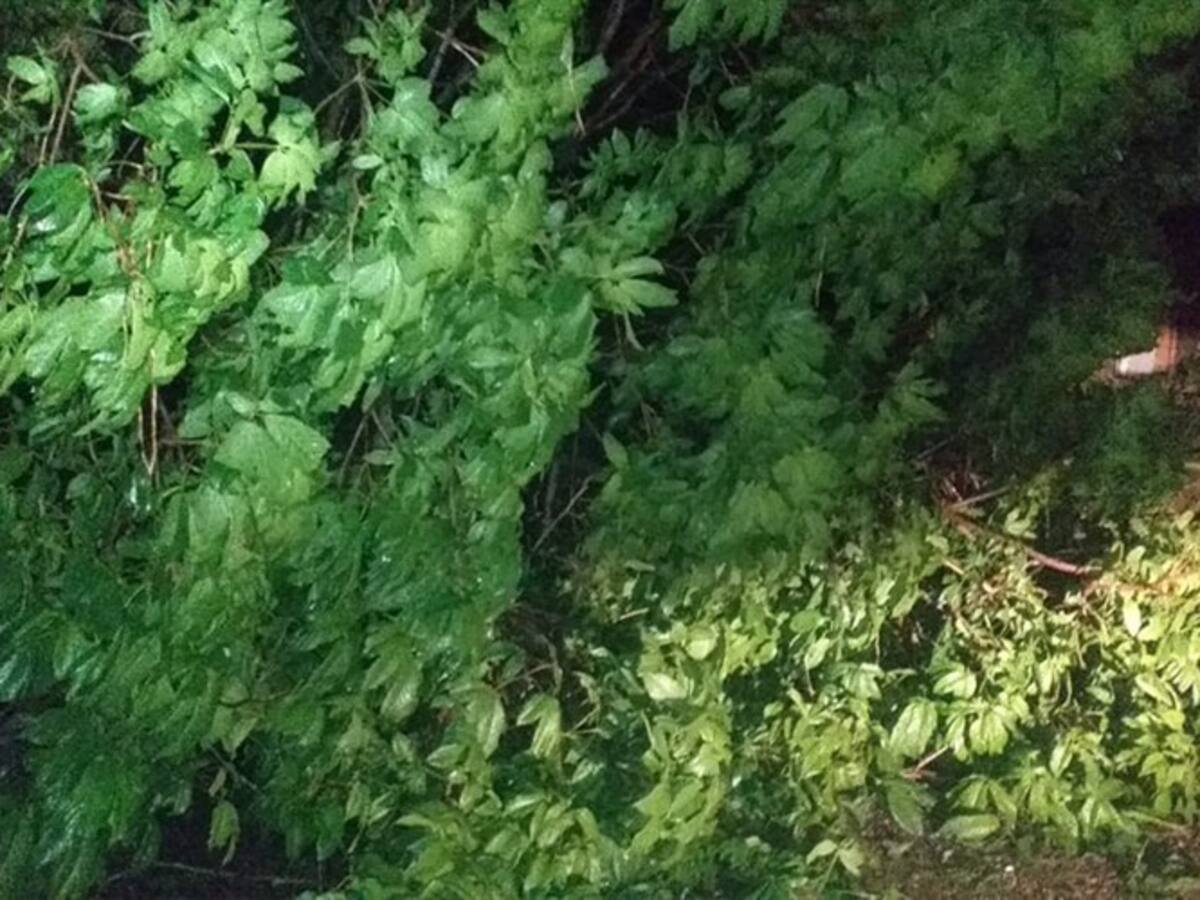 Vendaval dejó más 540 viviendas afectadas en Puerto Boyacá