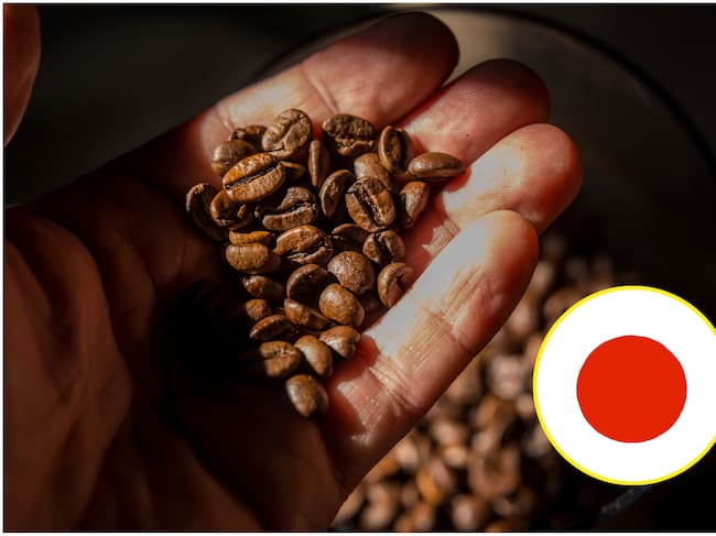 Imágenes de referencia. Getty Images.