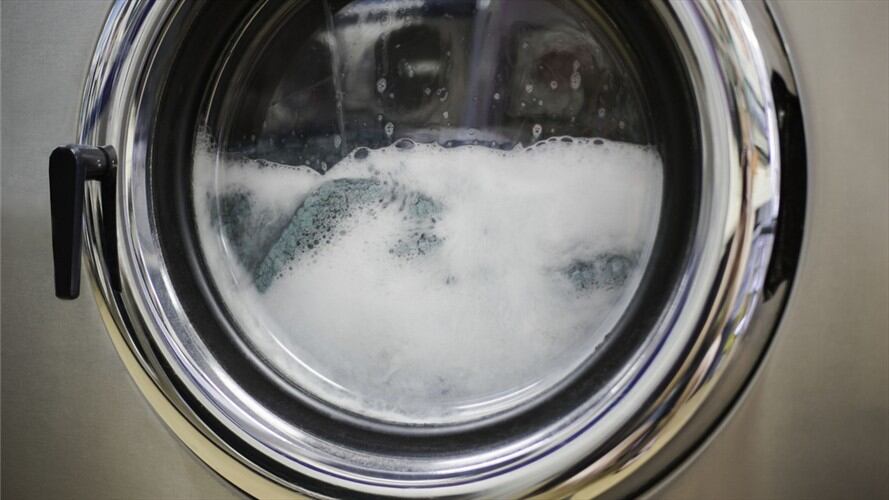 En estado crítico se encuentra el gatico que sobrevivió ciclo de 35 minutos en lavadora. Foto: Getty Images