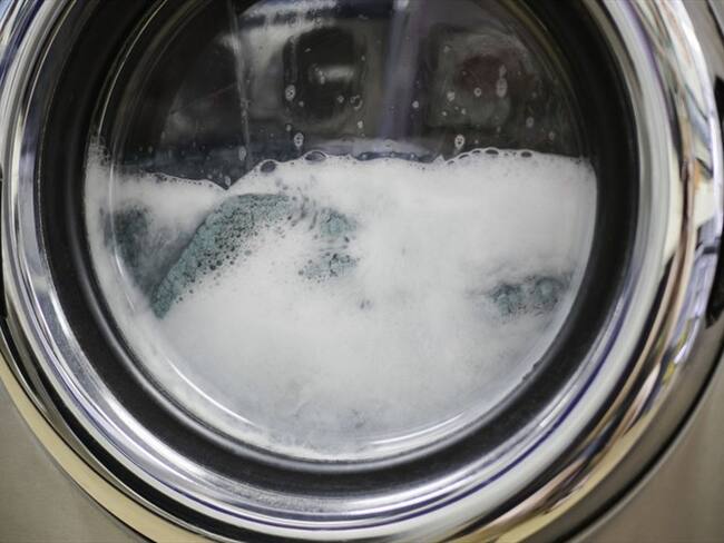 En estado crítico se encuentra el gatico que sobrevivió ciclo de 35 minutos en lavadora. Foto: Getty Images