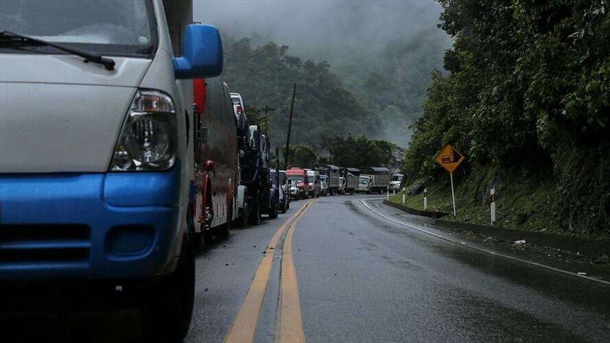 Emergencias registradas en la Línea. Foto: Colprensa