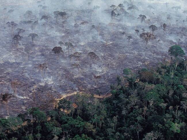 Cuánta responsabilidad tiene Bolsonaro por los incendios en el Amazonas