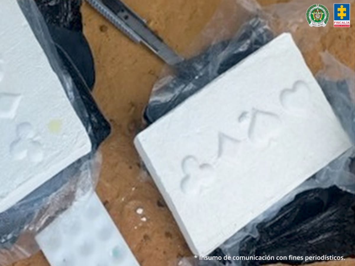 Ofensiva contra el narcotráfico en Norte de Santander deja ocho personas capturadas