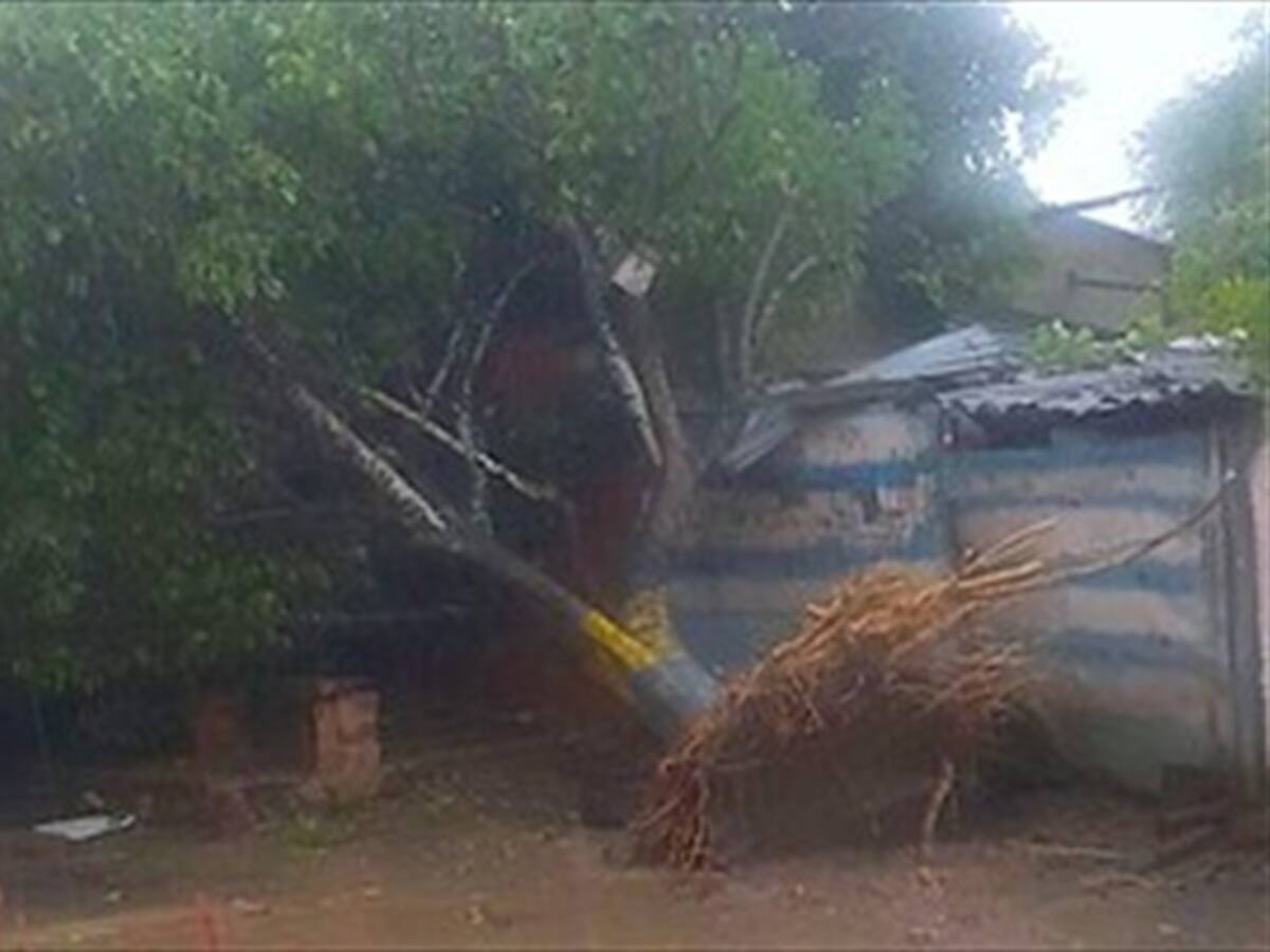 Un fuerte vendaval azotó el barrio las Malvinas