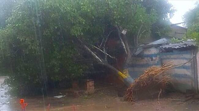 Un fuerte vendaval azotó el barrio las Malvinas. Foto: Colprensa