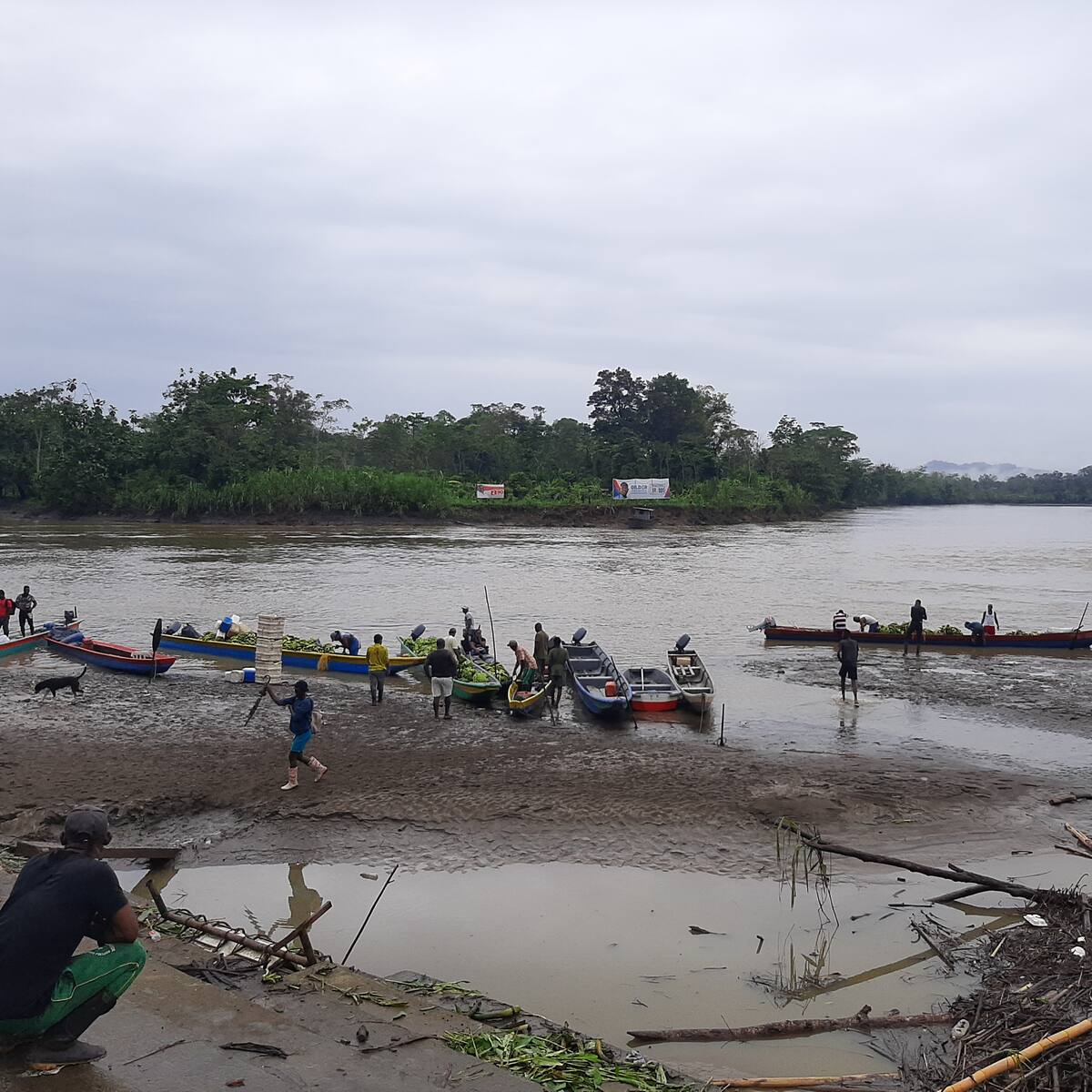 “La situación es caótica”: comunidad en Nóvita, sobre el confinamiento de más de tres semanas en Chocó