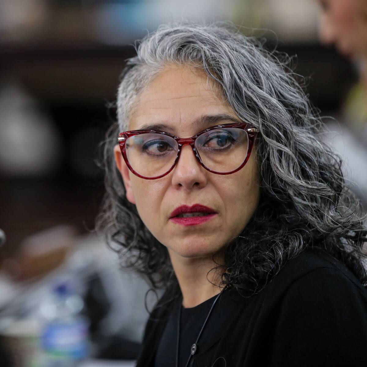 Radican ponencia en el CNE para negar la creación de partido Progresistas, de María José Pizarro