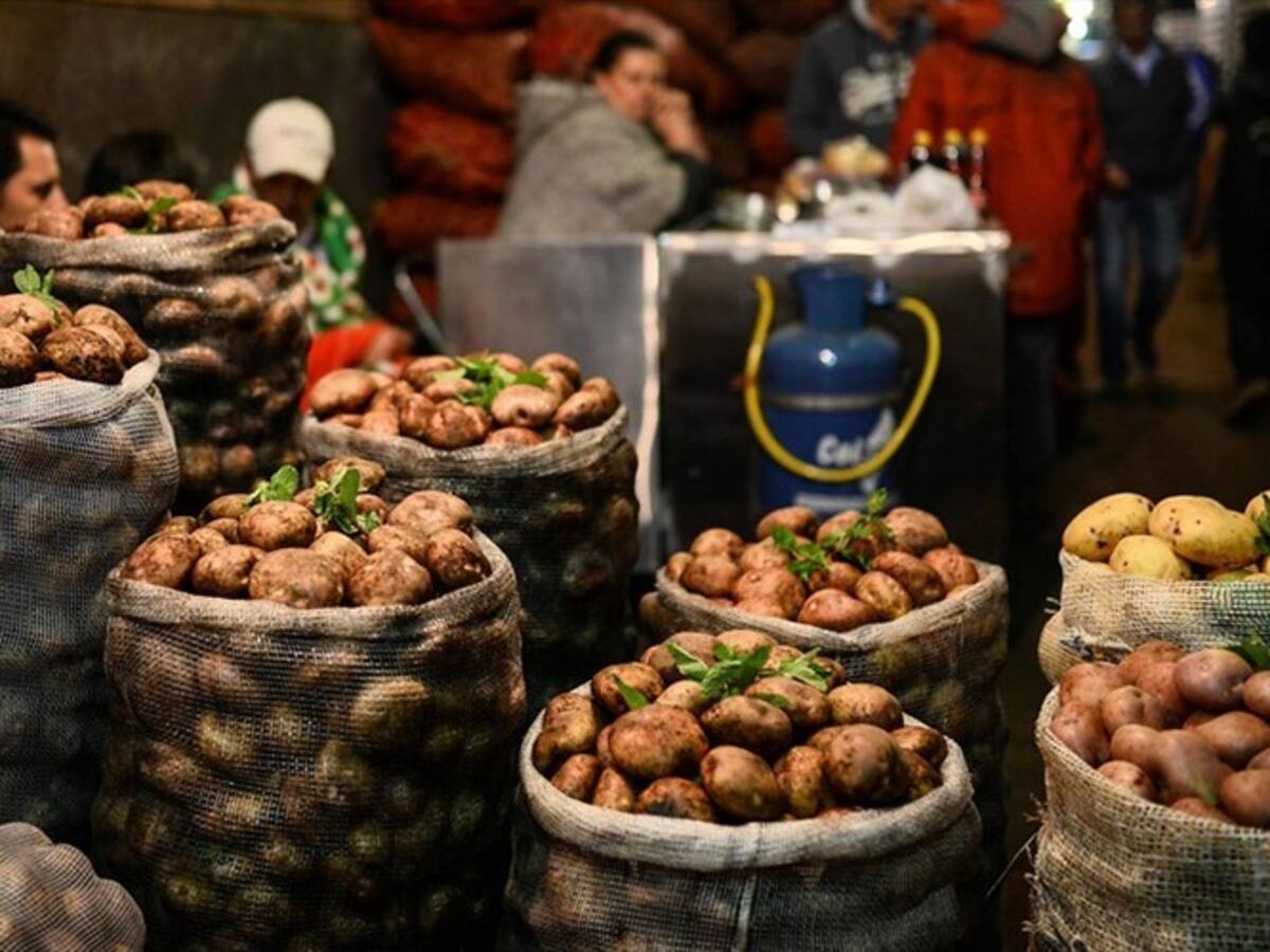 Minagricultura dio parte de tranquilidad sobre abastecimiento de alimentos en el país