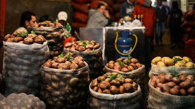 Minagricultura dio parte de tranquilidad sobre abastecimiento de alimentos en el país. Foto: Colprensa