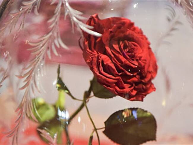 La Bella y la Bestia: el musical, el nuevo reto de Misi Producciones