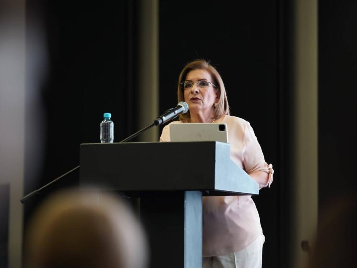 Margarita Cabello confirmó que el ELN no está respetando cese al fuego bilateral