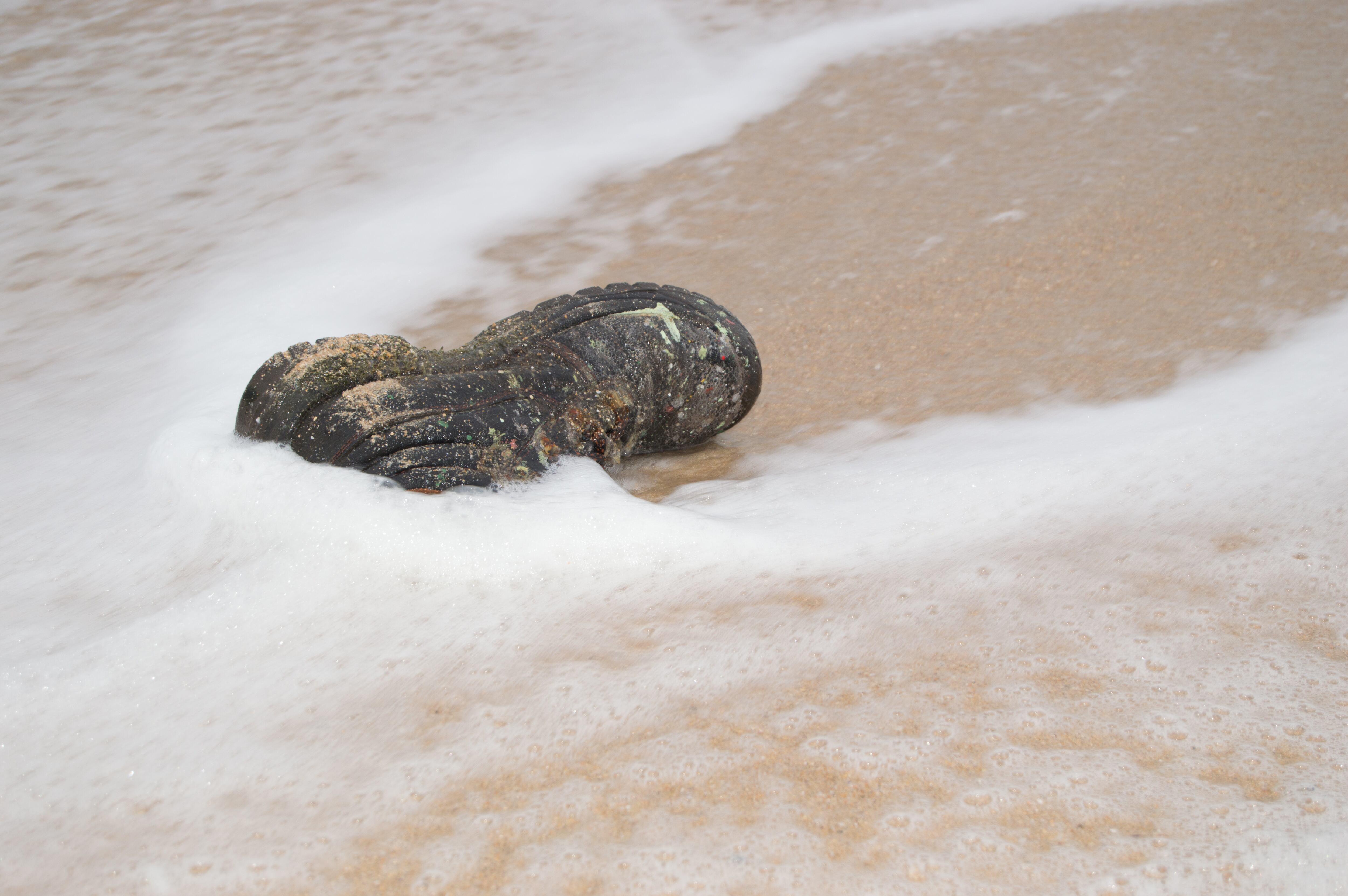 Imagen de referencia de la migración. Foto: Luis Diaz Devesa / Getty Images.