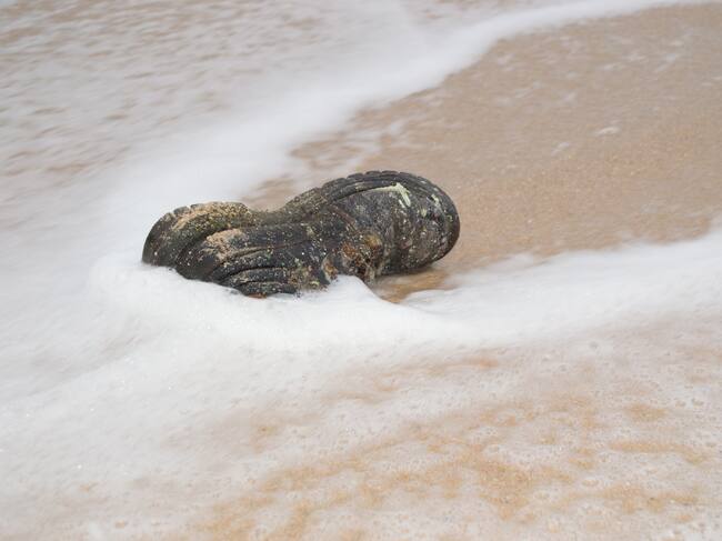 Imagen de referencia de la migración. Foto: Luis Diaz Devesa / Getty Images.