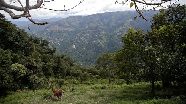 Esto es posible por un aporte cercano a los 2 mil millones de pesos entre la empresa privada; todas afiliadas a Proantioquia/ Imagen de referencia. Foto: Colprensa