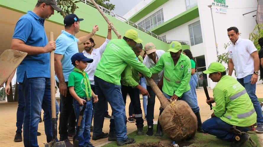 Este proyecto trazó la siembra de 100 especies nativas y frutales en las riberas del Sinú y en otros puntos de Montería. Foto: Alcaldía de Montería