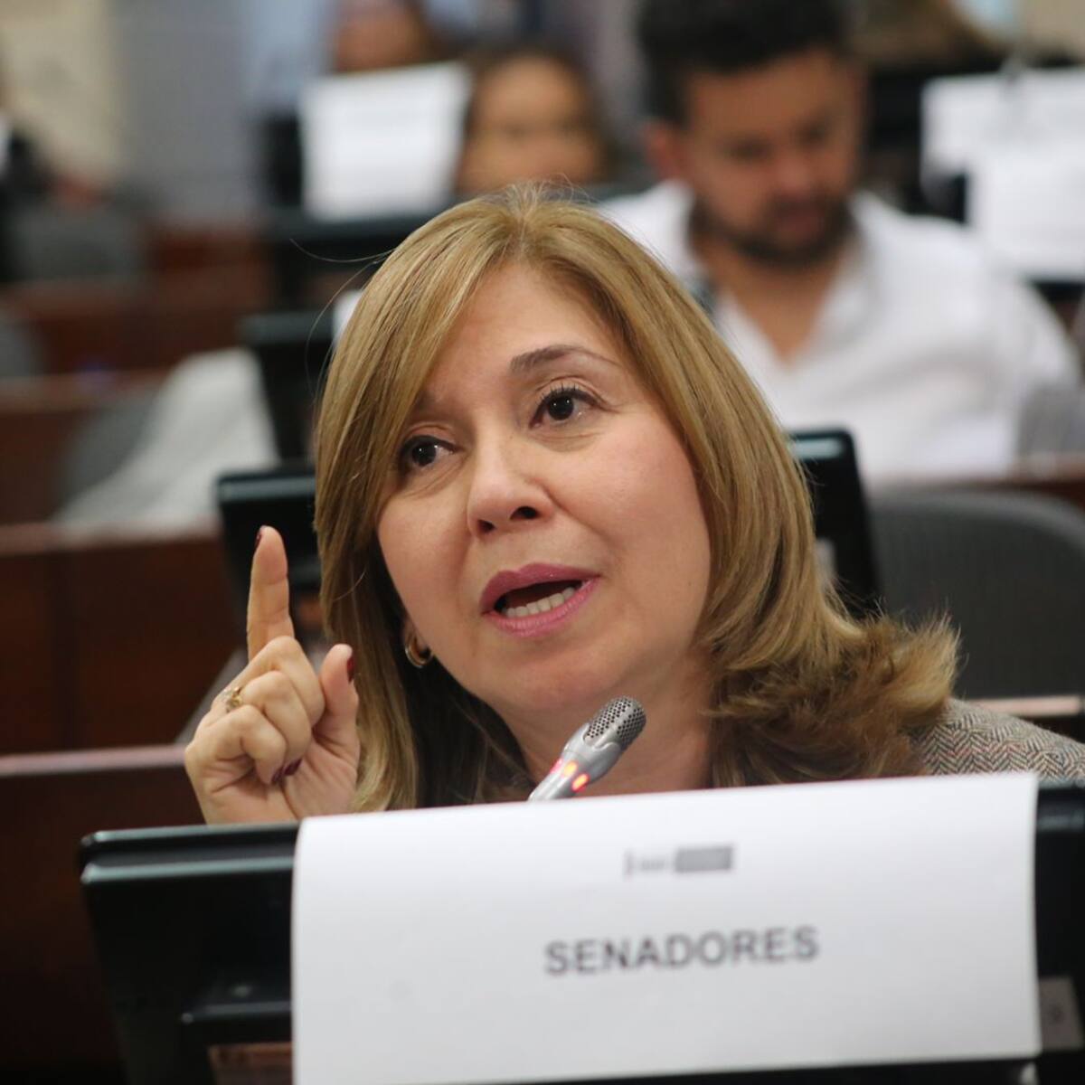 No es que fondos privados se queden sin nada: Norma Hurtado sobre reforma pensional