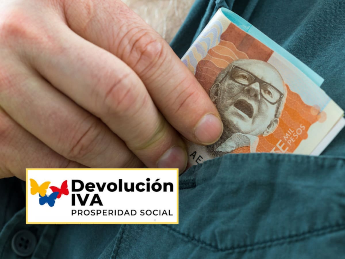 Devolución del IVA febrero: ¿Cómo y dónde cobrar el pago del ciclo 5 y 6?