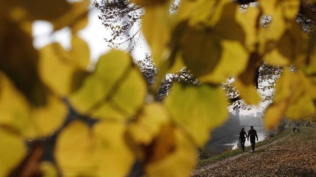 La prohibición del pesticida abarca bosques públicos, parques y jardines, pero las autoridades locales todavía tienen permiso para usar pesticidas en cementerios.. Foto: Associated Press - AP