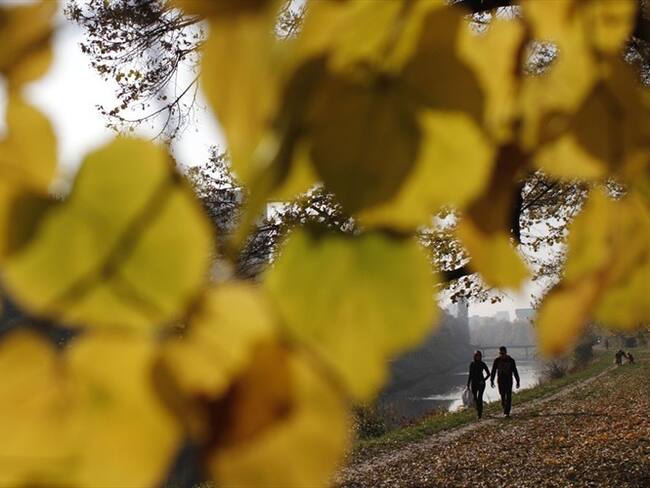 La prohibición del pesticida abarca bosques públicos, parques y jardines, pero las autoridades locales todavía tienen permiso para usar pesticidas en cementerios.. Foto: Associated Press - AP