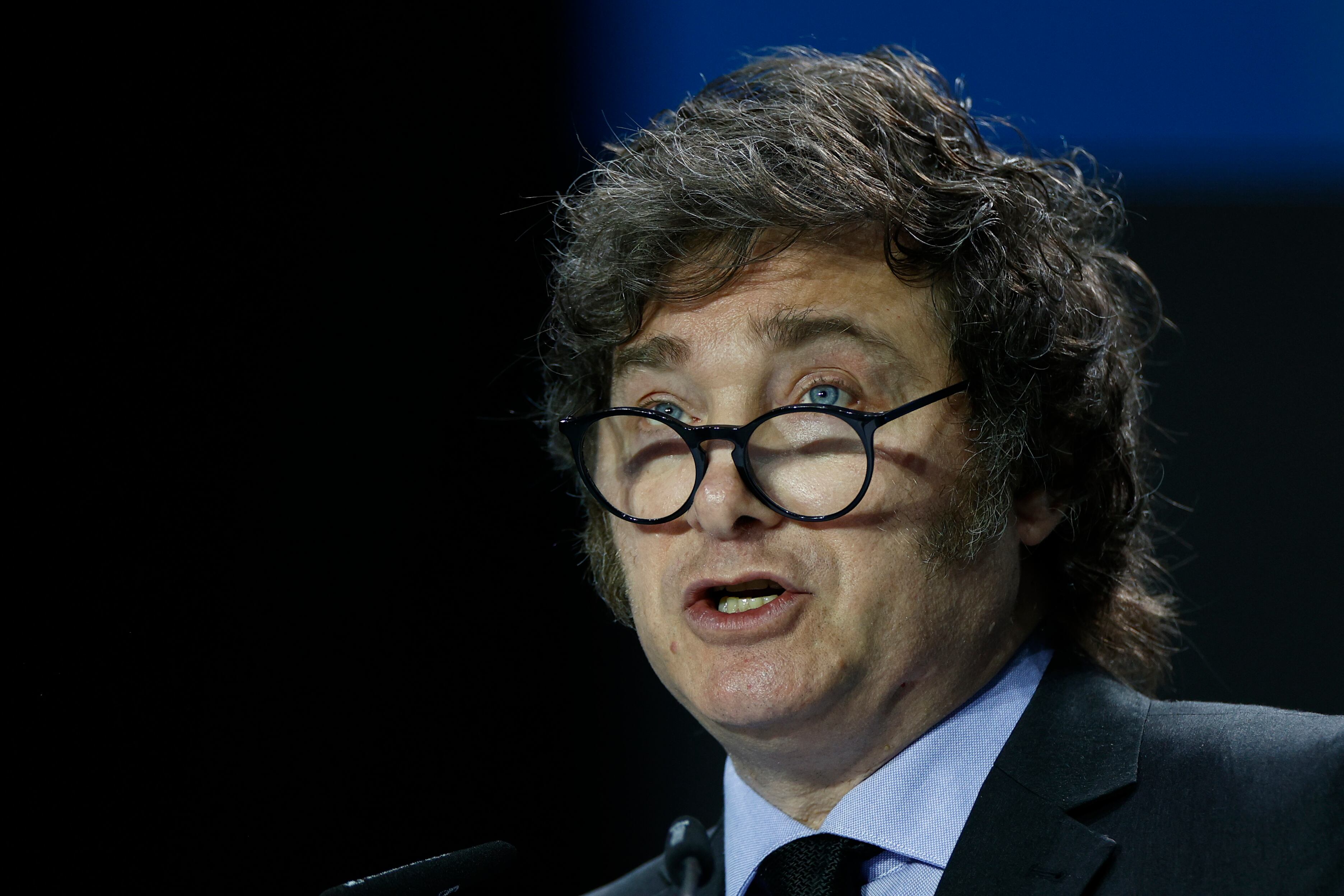 Javier Milei. Foto: EFE/Rodrigo Jiménez