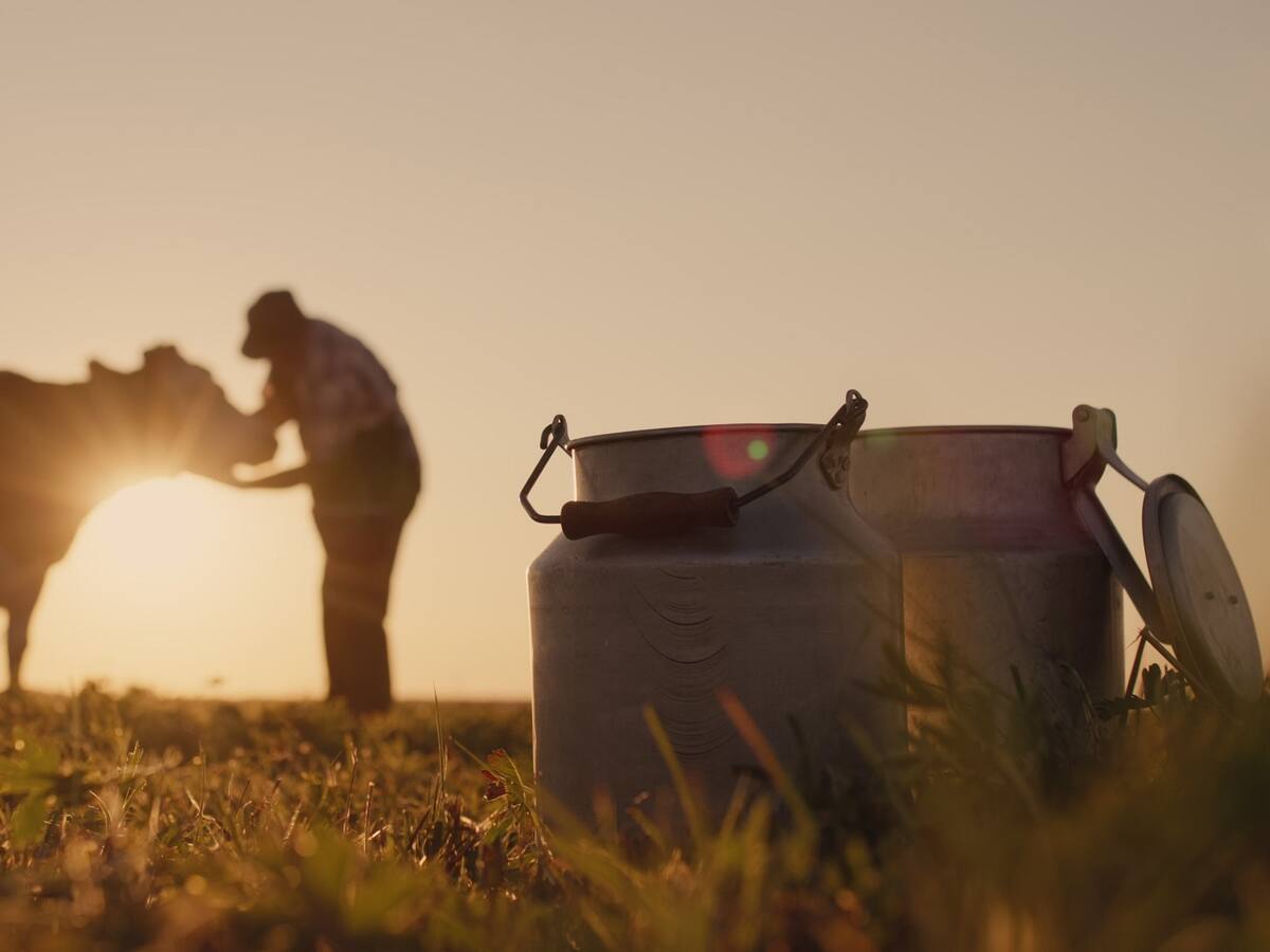 Fundagán pide ante la JEP reconocimiento de ganaderos víctimas del conflicto armado